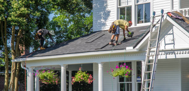 Best Roof Leak Repair  in Ferndale, PA